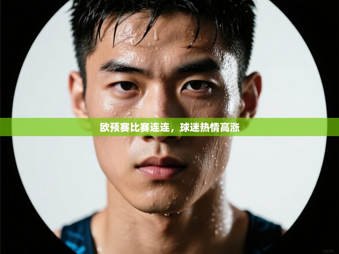 欧预赛比赛连连，球迷热情高涨  第1张