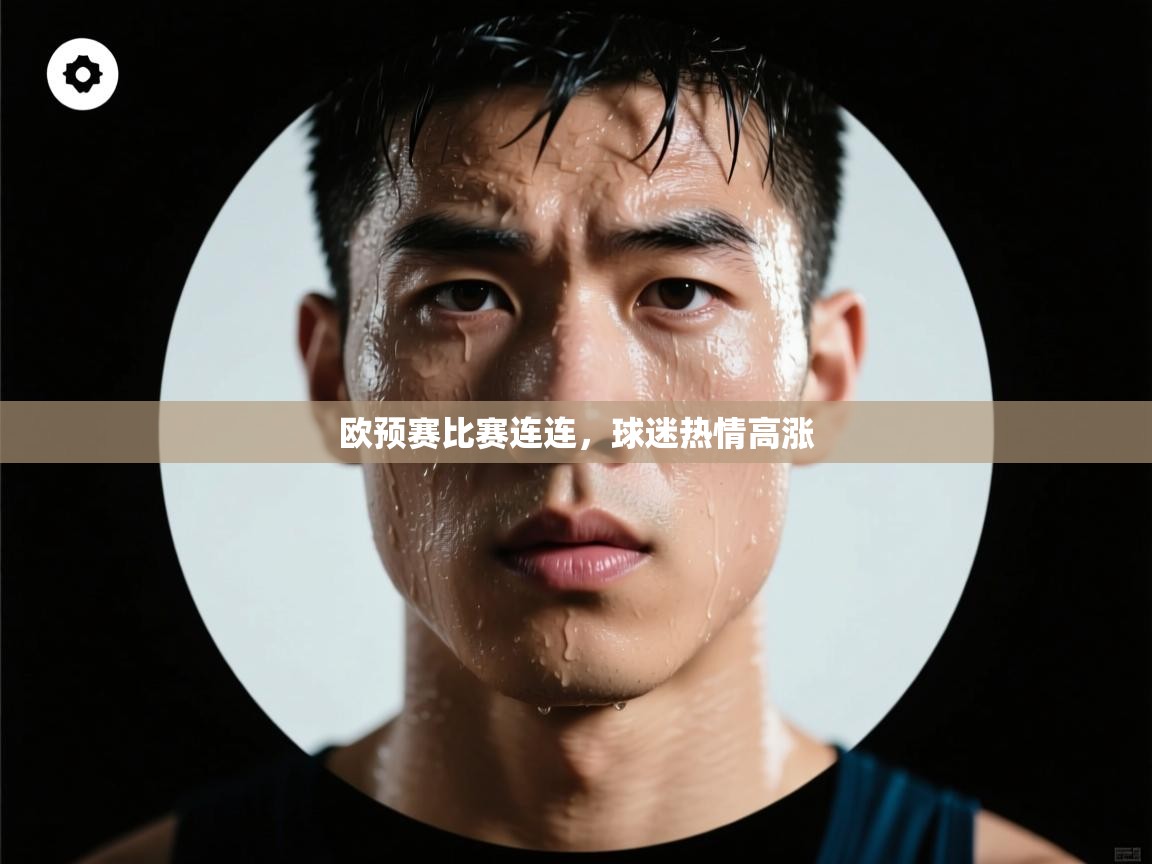 欧预赛比赛连连，球迷热情高涨  第2张